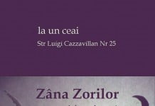 Spectacol de umbre: Zâna Zorilor, sâmbătă, 26 martie la Ceainăria La un Ceai