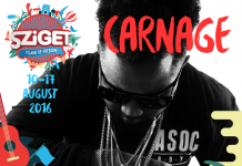 Marky Ramone’s Blitzkrieg, Skunk Anansie și Die Antwoord la Sziget 2016