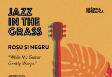 Jazz in the Grass 11 / “Roșu și Negru-While my Guitar Gently Weeps”