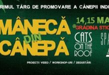 CANEPA si MUZICA la Gradina Sticlarilor