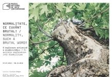 NORMALITATE, CE CUVÂNT BRUTAL! O explorare artistică a dizabilității