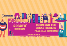 Festivalul La Dâmburi, evenimentul tinerilor sătmăreni! Cum se poate ajunge la festival?