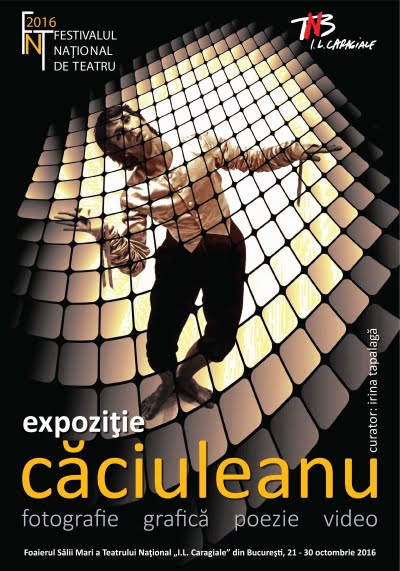afis_expo_caciuleanu_fnt_2016