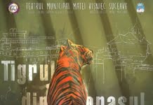 “Tigrul din orasul nostru”, prima producție a Teatrului Municipal “Matei Vișniec” din Suceava va avea premiera la începutul lunii decembrie
