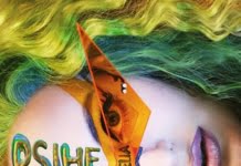 Concert Delia – Psihedelia, pe 6 martie 2017, la Sala Palatului