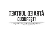 Teatrul de Artă București la aniversare – 4 ani în sala de spectacole din str. Sfântul Ștefan nr. 21