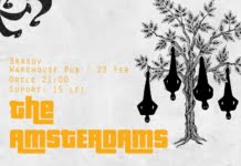 The Amsterdams canta de Dragobete la Brasov si Timisoara