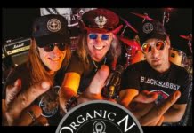 Organic Noise Experiment live in Timisoara