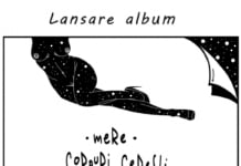 MERE – “Corpuri ceresti”