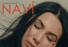 NAVI – Concert de lansare al albumului “Songbird”