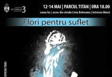 Festival “Flori pentru suflet – Remember Florian Pittiș” 12, 13, 14 mai, Parcul Titan