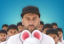 CRBL este Mr. Feng, un şoricel deopotrivă adorabil şi terifiant, numai în animaţia “Nut Job 2: Goana după alune”
