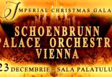 Schoenbrunn Palace Orchestra Vienna il prezinta pe tanarul si talentatul dirijor – Vinicius Kattah –