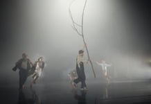 Luk Perceval la FEST-FDR 2018!