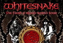 Whitesnake la Bucuresti: Program si Reguli de Acces