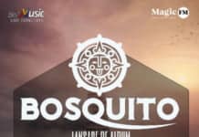 The Details deschid concertul Bosquito de la Arenele Romane