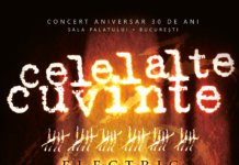 Celelalte Cuvinte a lansat albumul “Electric Live”