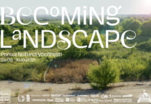 BECOMING LANDSCAPE. Parcul Natural Văcărești, reconfigurat ca scenă de un grup de muzicieni și performeri