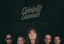 Celelalte Cuvinte a lansat un nou single, „Plecând încet”