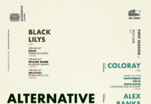 Platforma Alternative Culture lansează Primul sezon de concerte din acest an