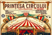 Program Teatrul Naţional de Operetă şi Musical Ion Dacian – luna IUNIE