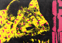 Coma – Mai multe zambete