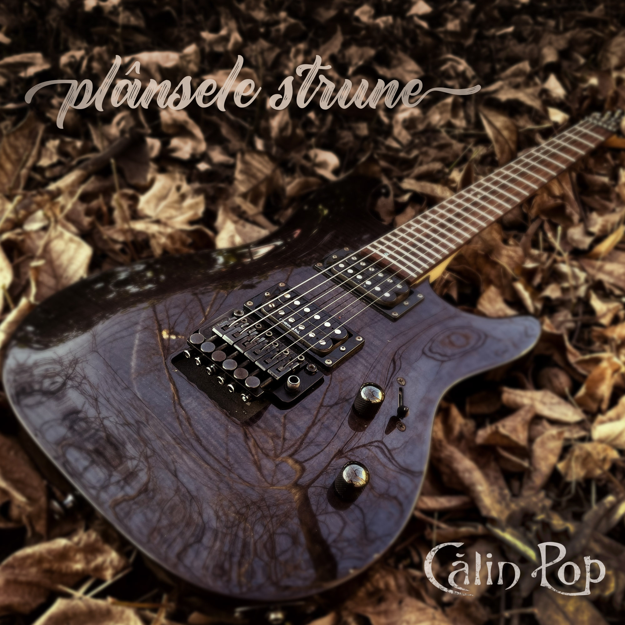 Călin Pop lanseazăun nou single: „Plânsele strune”