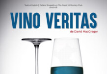 Maraton teatral la Palatul Bragadiru – Sala Teatrului Godot în luna ianuarie